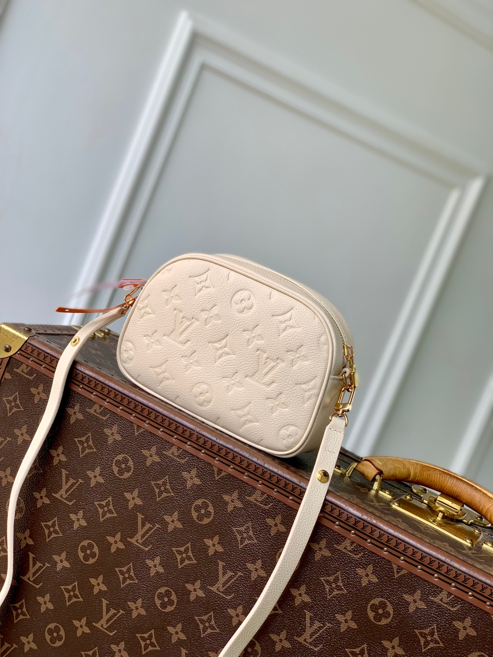 Louis Vuitton Tiny Camera Bag
