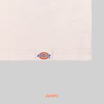  Футболка мужская Dickies Rope артикул:DK0A4Z8QF901 - купить в магазине Дайс
