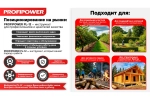 Аккумуляторная бесщеточная цепная пила PROFIPOWER PL-12 с штангой телескопической (20В,12", Li-ion-2шт, 4.0Ач, 0-5800 об/мин,З/У, в коробке) (E0285)
