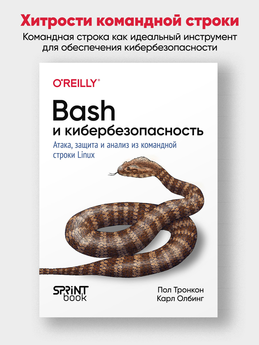 Bash и кибербезопасность: атака, защита и анализ из командной строки Linux