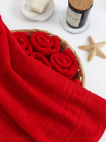 Полотенце махровое, г/к, 70х140, арт. ВТ 70-140Г, 380 гр/м2, цвет: 109-красный,