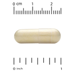 NOW Foods, глутатион с экстрактом расторопши и альфа-липоевой кислотой, 60 вегетарианских капсул