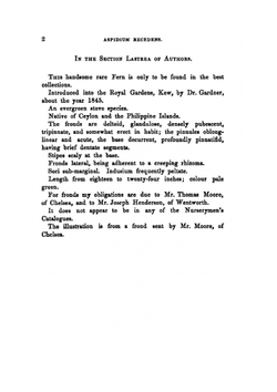 Ferns: British and Exotic. Volume 7 | Edward Joseph Lowe