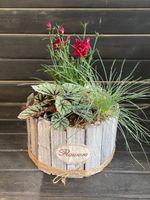 Сад комнатный (минисад)