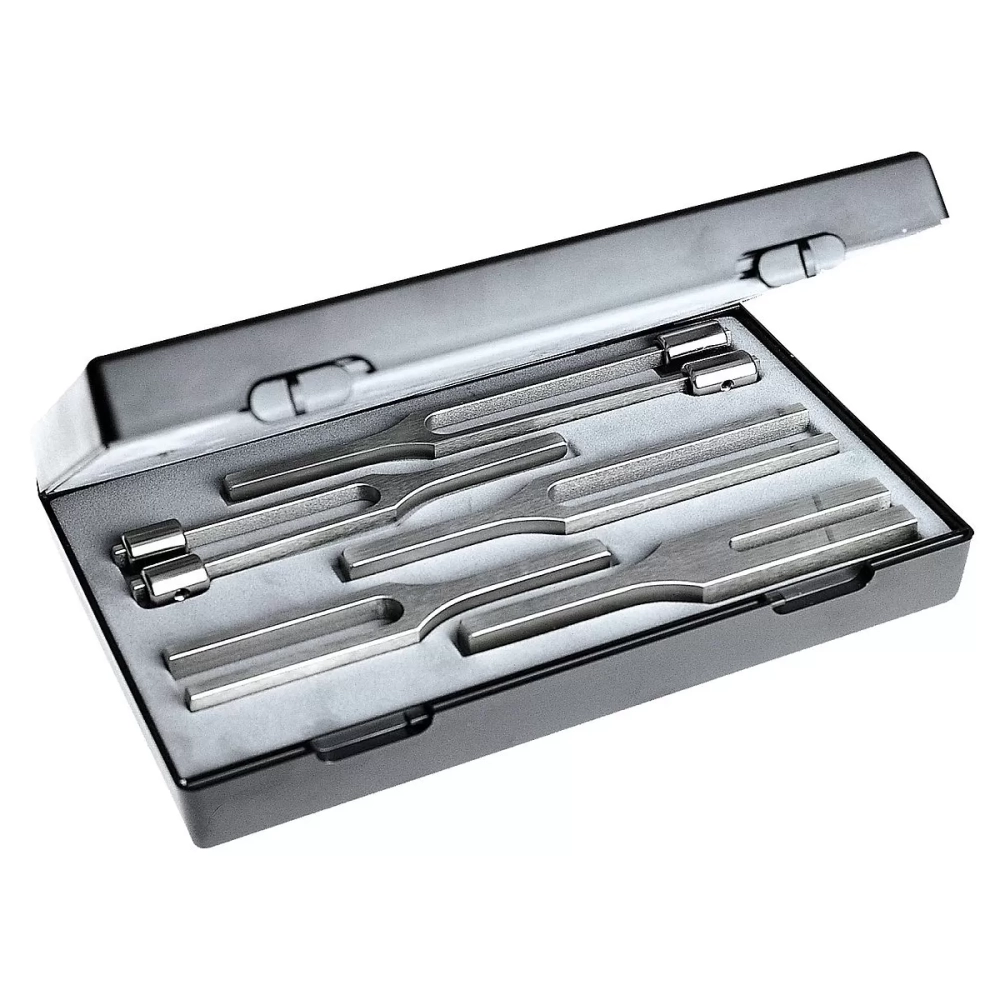 Набор из 5 стальных камертонов Sets Besteck II