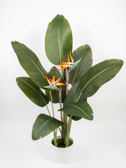 Искусственная стрелиция с цветами в кашпо