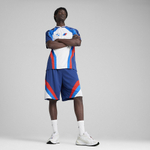 Мужские шорты PUMA BMW MMS LIFESTYLE SHORTS