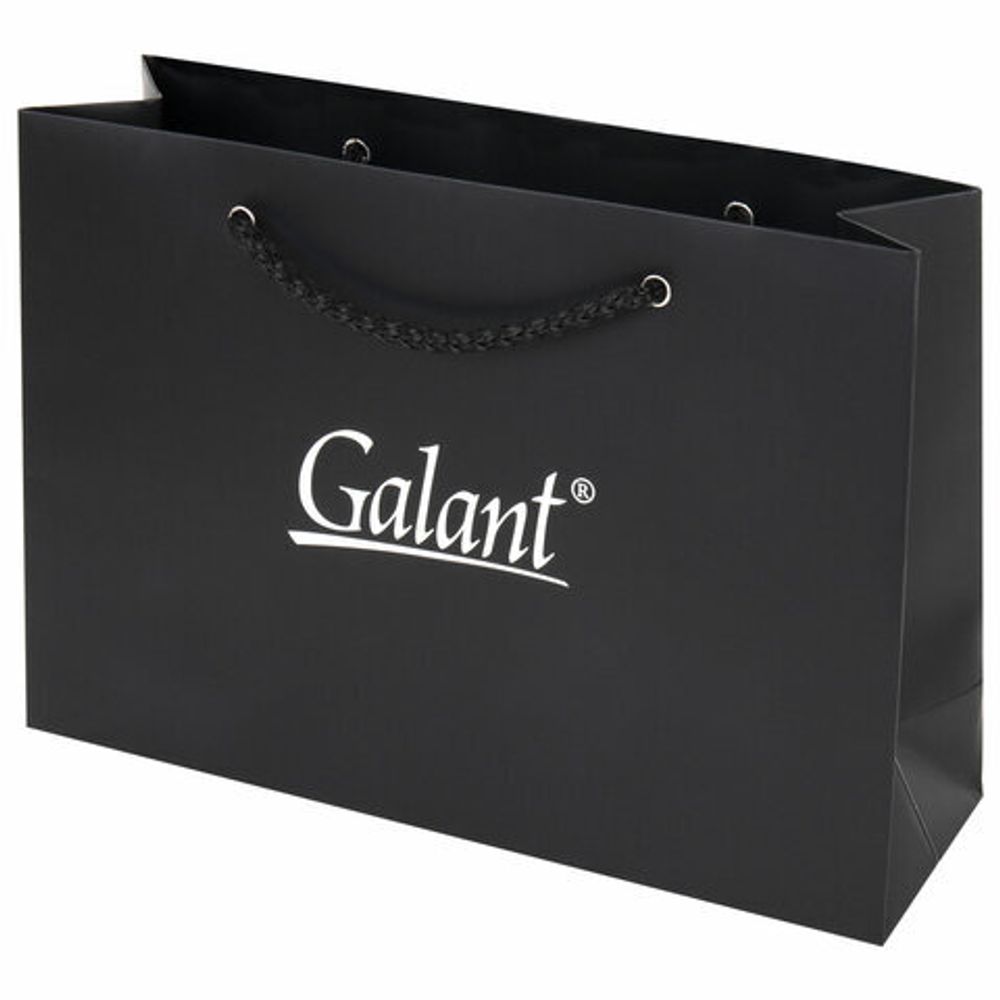 Ручка шариковая GALANT "Marburg", корпус серебристый, ежедневник недатированный А5 черный, пакет, 880905