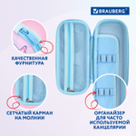 Пенал BRAUBERG 1 отделение 1 откидная планка EVA 3D 22х10х5 см "Humster" (2 штуки в упаковке)