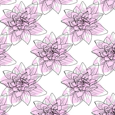 Розовые лотосы. Pink lotuses