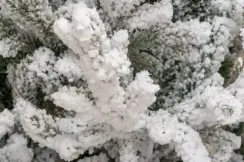 Искусственная елка Имперская заснеженная 210 см., литая хвоя+пвх, ЕлкиТорг (145210)