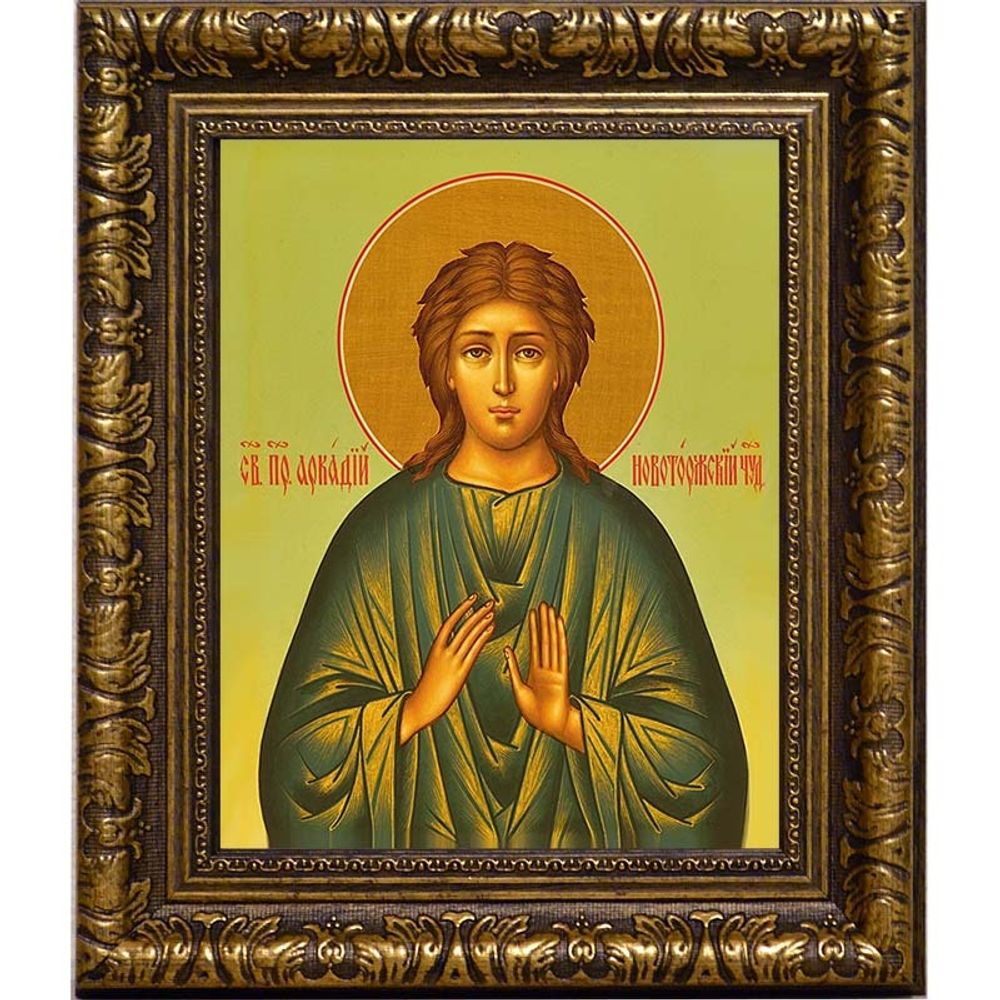 Аркадий Новоторжский, Вяземский Преподобный. Икона на холсте.