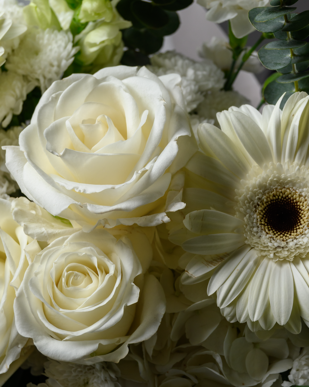 Сахарная вата *