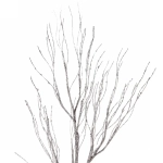 Ветка декоративная «Нежность» 77 см, Серебро