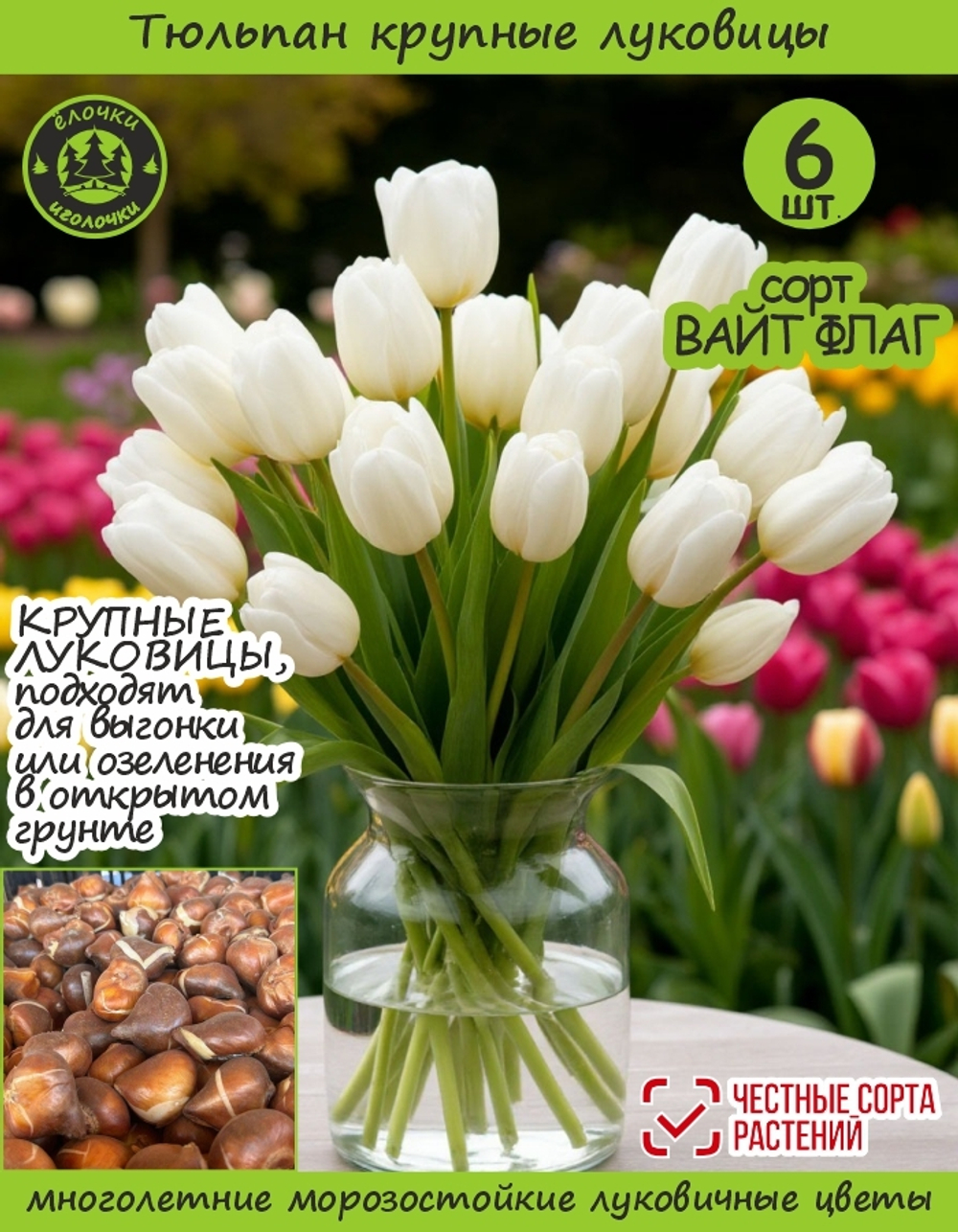 Тюльпан Луковица Вайт Флаг 6 шт