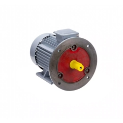Электродвигатель ESQ PR 132 M4 GST-Б1-S12-IE2 11/1500 IM2081