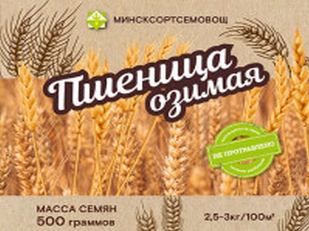 Пшеница озимая &quot;Эмиль&quot; 0,5кг, Беларусь.