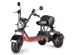 Электросамокат WHITE SIBERIA TRIKE MINI 1500W