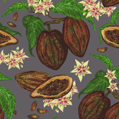 какао бобы крупные на фиолетово-сером