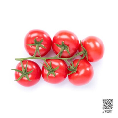 Хибачи F1 семена томата индетерминантного (Rijk Zwaan / Райк Цваан)