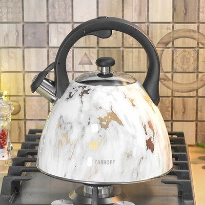 Чайник 3л нерж "Fanhoff" (95802)