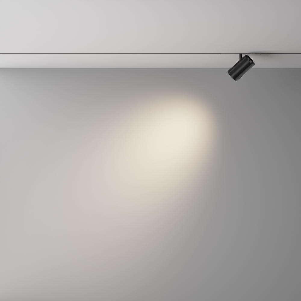 Трековый светодиодный светильник Maytoni Exility X Focus Led TR243-12W4K-B