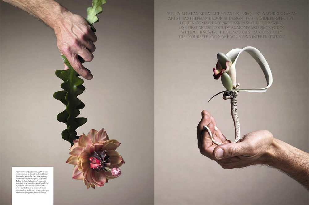Floral Contemporary: The Renaissance in Flower Design