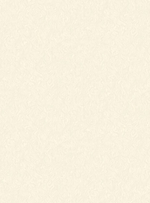 Сальвадор-фон 21 светло-серая