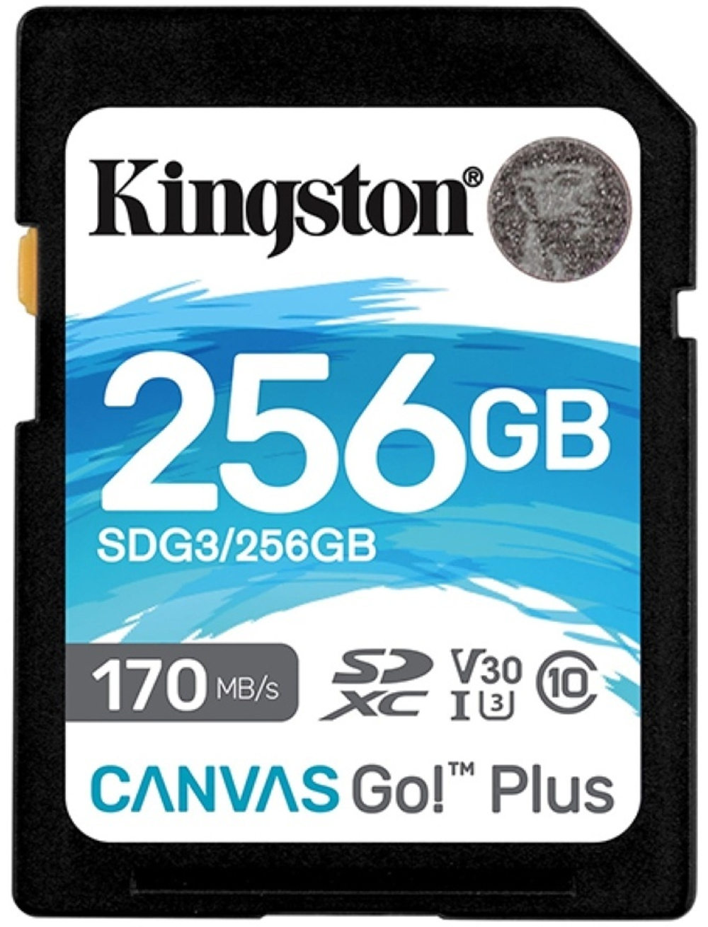 Карта памяти Kingston SDG3/256GB 256GB
