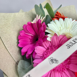 Солнечные герберы