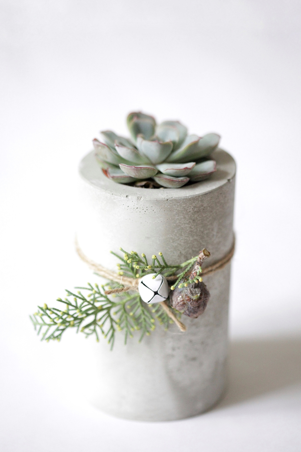 Новогодний набор с суккулентом № 15