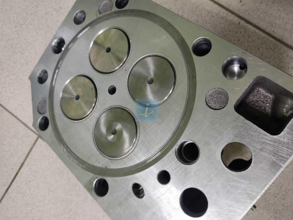 Головка цилиндров с клапанами 840.1003010-20