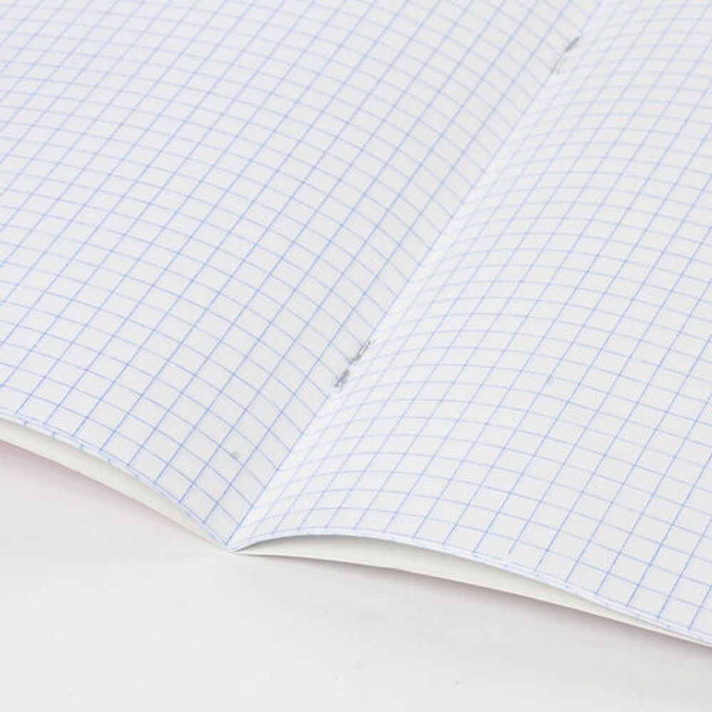 Тетрадь 18 л. BRAUBERG "ЭКО", клетка, обложка плотная мелованная бумага, ЗЕЛЕНАЯ ПАСТЕЛЬНАЯ, 105675, 25шт