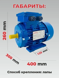 Электродвигатель 220В (380В), 3,0 кВт, 3000 об/мин, АИР 90L2, PR13030
