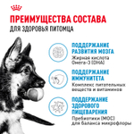 Royal Canin Maxi Puppy Корм сухой для щенков крупных размеров в возрасте до 15 месяцев 3 кг