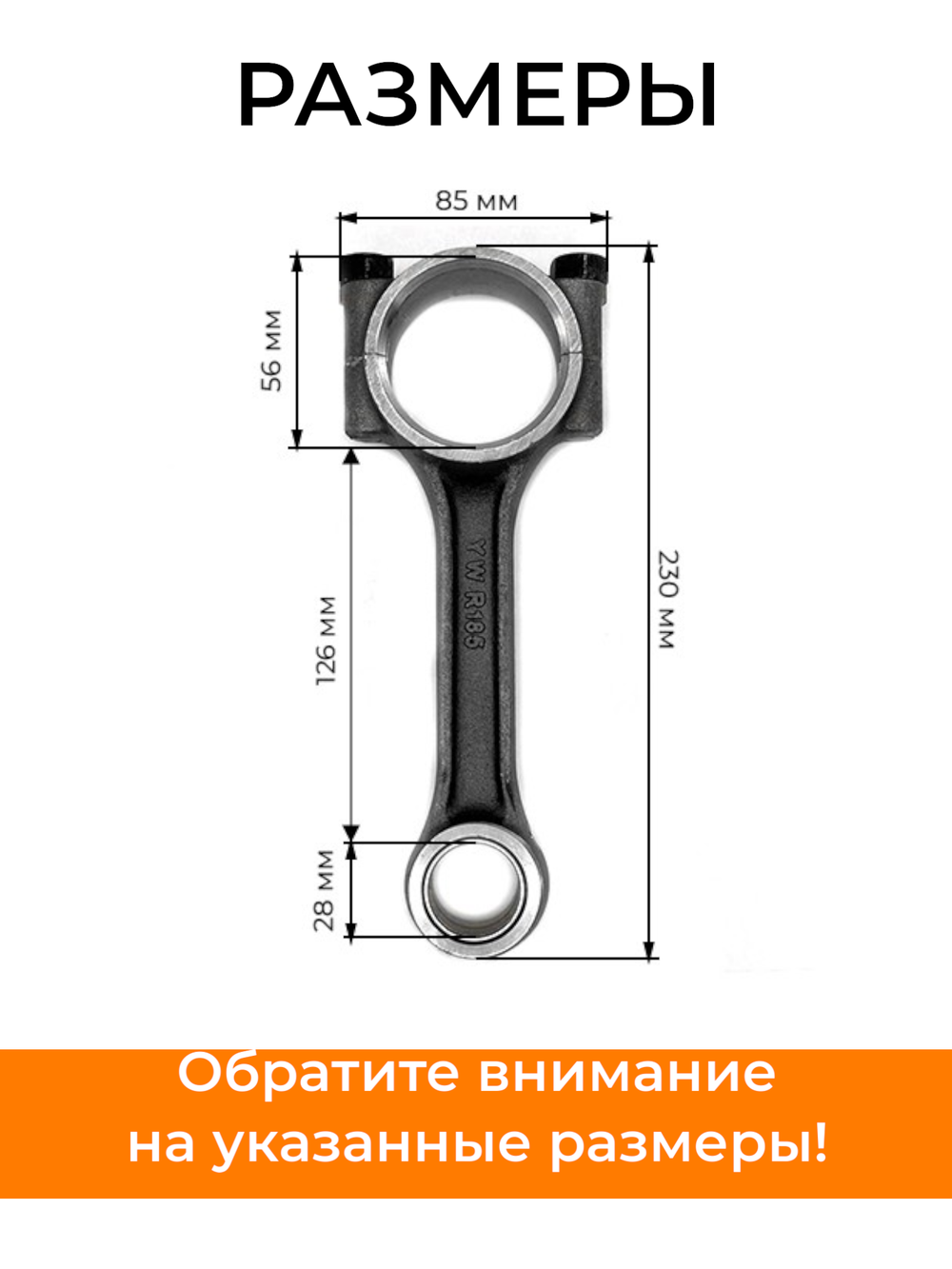 B144-1-195N-RT (1)