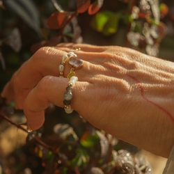 кольцо с лабрадором