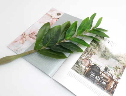 Замиокулькас 52 см 14 листьев / Арт 6007