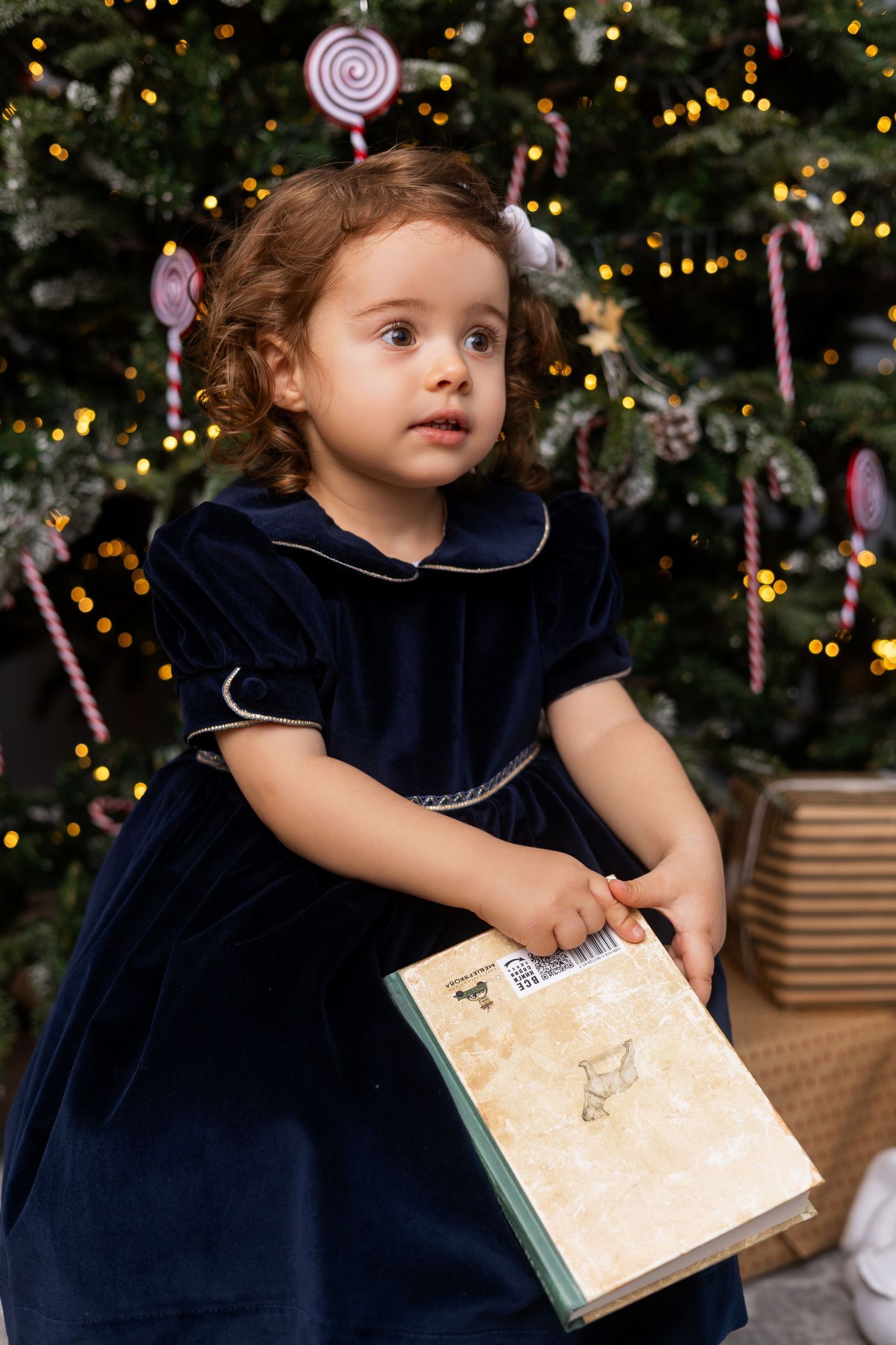 Шарлотта Синий бархат