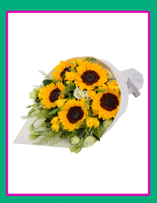 Солнечный свет