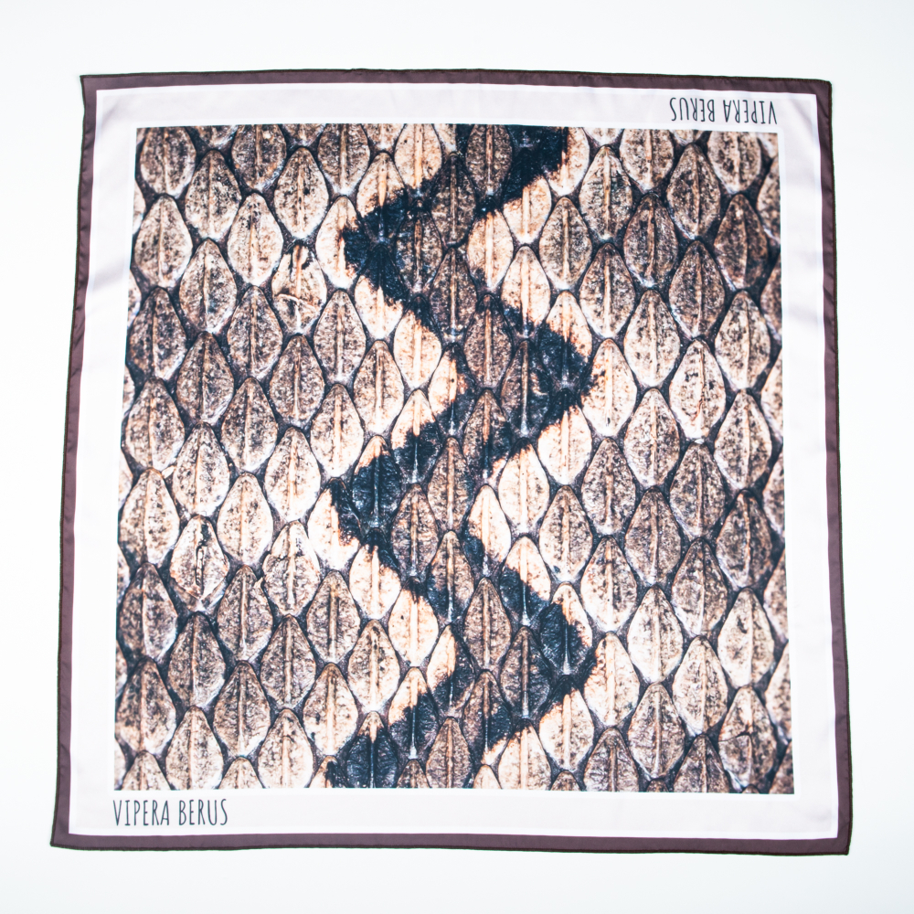 Шейный платок «Vipera berus», 70×70 см
