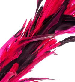 Decor and Gift 14-054 Декоративный веничек из перьев (о. Бали)