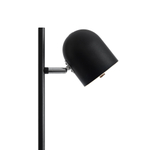 Напольный светильник (торшер) Freya FR5279FL-L7B