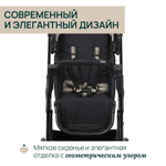 Коляска Chicco Seety 2 в 1 Etna Black