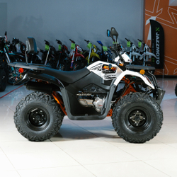 Квадроцикл KAYO AU200 c ПТС белый 2024 г.