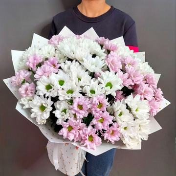 Букет из 13 кустовых хризантем