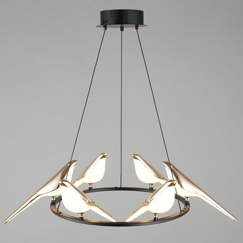 Подвесная люстра Aployt Astor APL.822.03.60