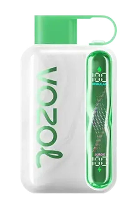 Vozol STAR 40000 - Watermelon Ice (5% nic)