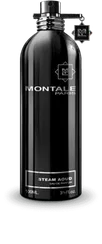 Montale Steam Aoud
