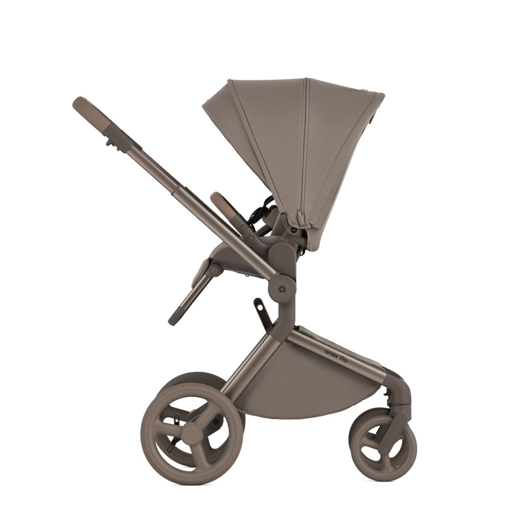 Anex Детская коляска Flo 2 в 1 Yuki